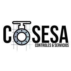 cosesa controles y servicios