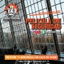 pelicula de seguridad