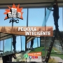 pelicula para cristales