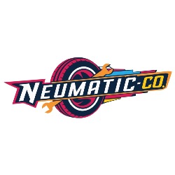 Neumaticco (Constituyentes)