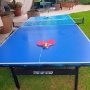Renta mesa Ping Pong