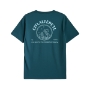 Playera ecológica Citlaltépetl