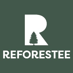 Reforestee
