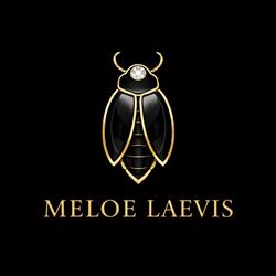 Meloe Laevis