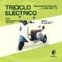 El triciclo eléctrico Pialli Italiano ofrece máxima estabilidad para adultos y adultos mayores. Motor 500W, autonomía de hasta 40–50 km y asiento doble con respaldo y baúl.
