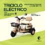 El triciclo eléctrico Pialli Family está pensado para adultos y adultos mayores que buscan seguridad y comodidad. Motor 650W, autonomía aprox. de 50 km y capacidad para 2 adultos y 1 niño.