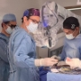 Salvando Vidas Neurocirujano Mallyolo