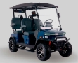 Carrito de Golf SD4