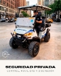 Vehículo Utilitario Golf Gang