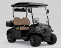Carrito de Golf Modelo S2