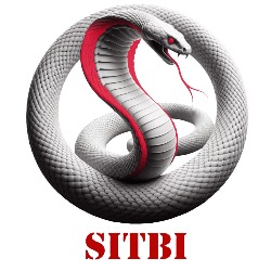 Seguridad Privada SITBI
