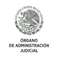 Órgano de Administración Judicial (OAJ)