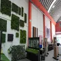La Nueva Avenida Suc. Chicoloapan