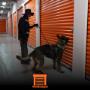 Renta de minibodegas seguras con seguridad canina K9 en Guadalajara.