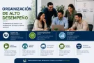 Organización de alto rendimiento