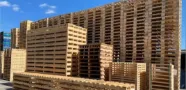 tarimastoluca2