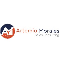 AM SALES CONSULTING