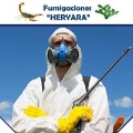fumigaciones Heryara