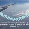 Opiniones