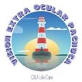 Visión Extra Ocular Pachuca