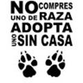 Opiniones