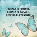 Opiniones