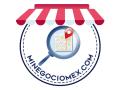 Mi negociomex
