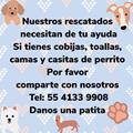 Opiniones