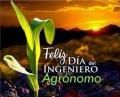 Opiniones